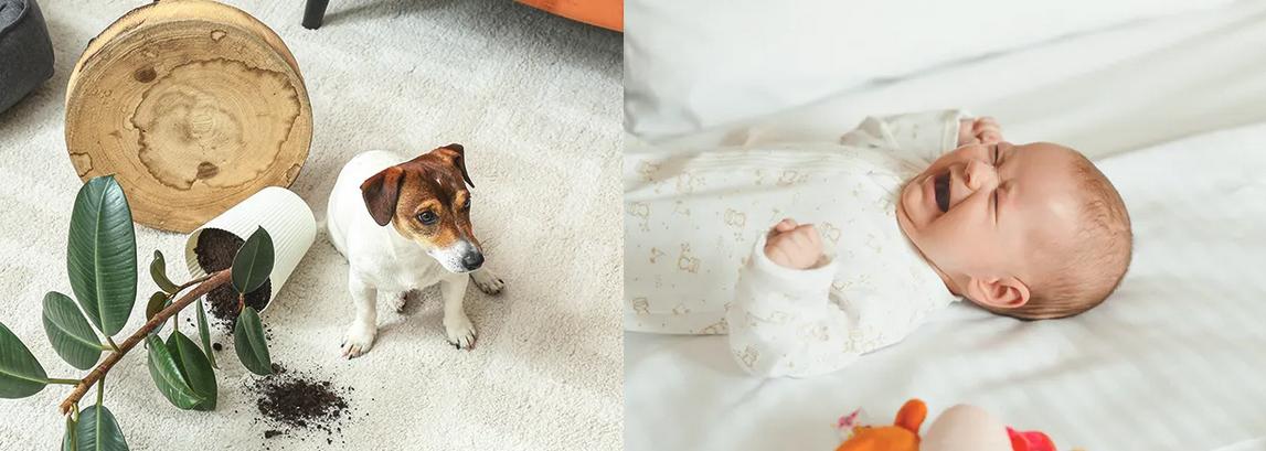 Kamera Imou Ranger Dual 5MP + 5MP - obrazek 3